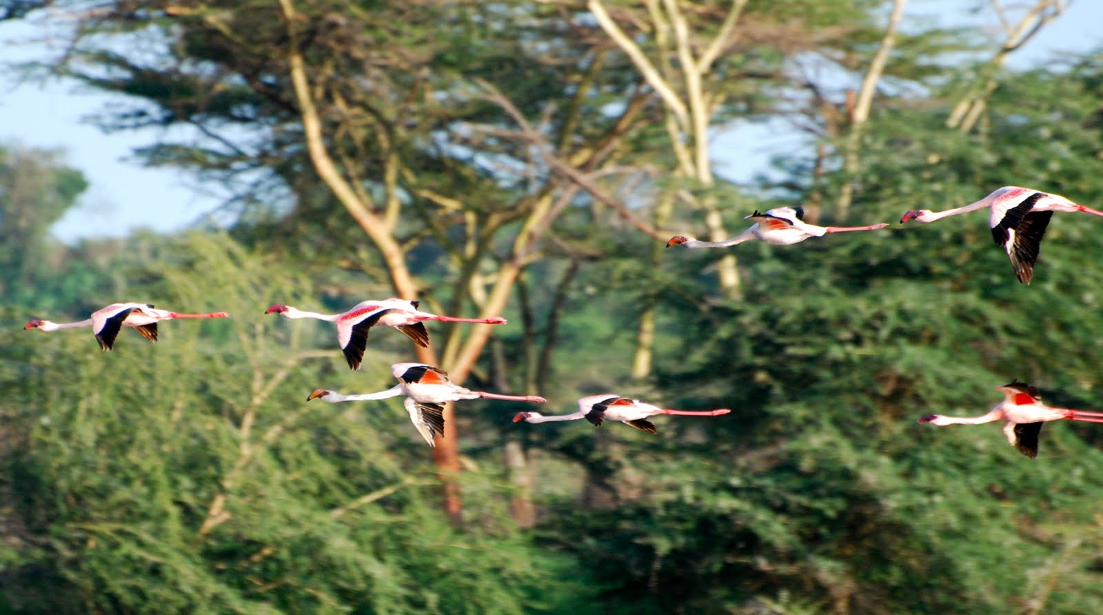 Arusha National Park  