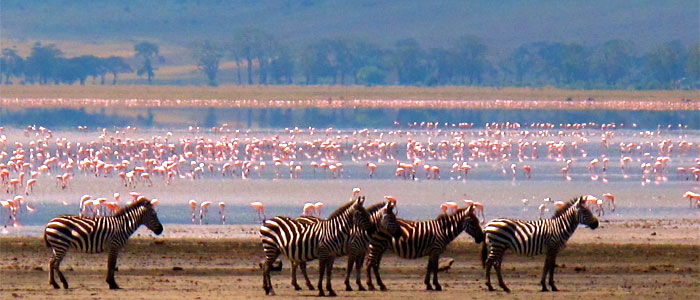 Lake Manyara National Park  