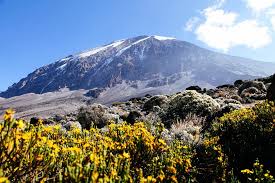 Mount Kilimanjaro Shira Route  
