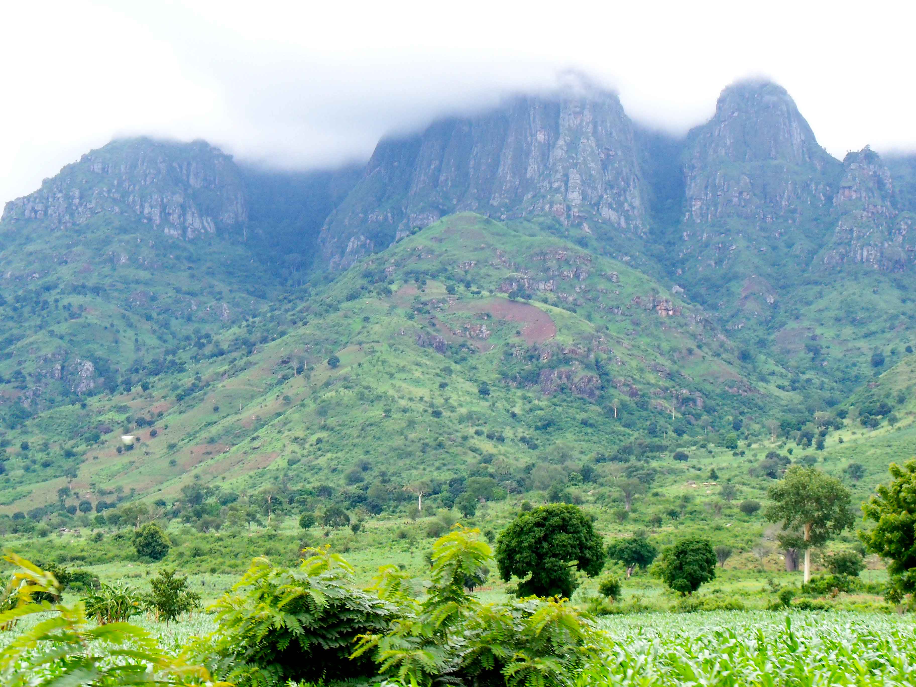 Usambara Mountains