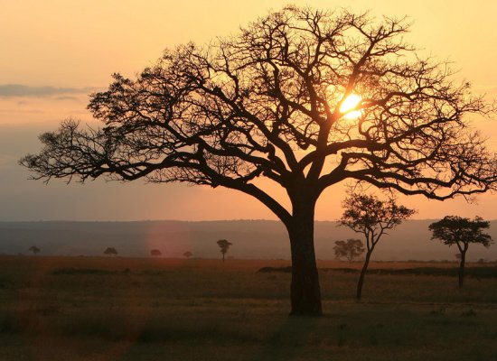 Welcome to Mikumi National Park  