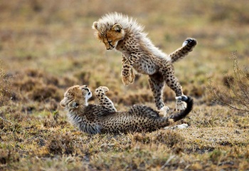 Serengeti National Park 