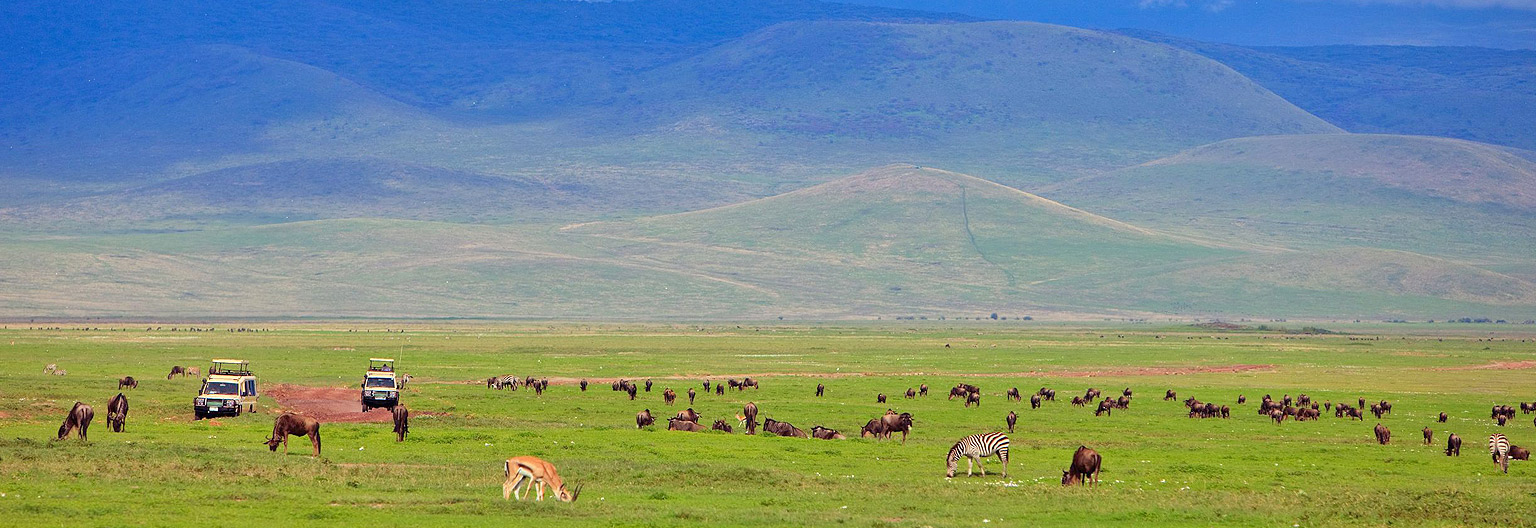 Ngorongoro National Park 