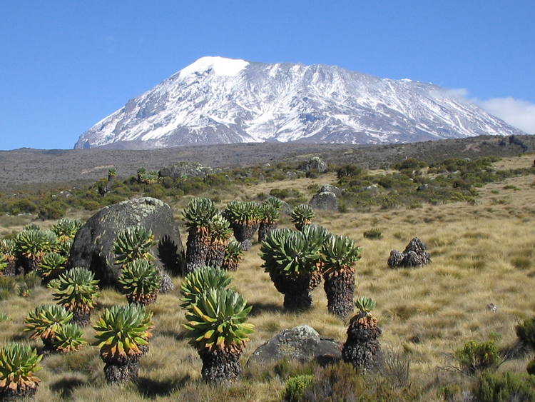 Kilimanjaro National Park 