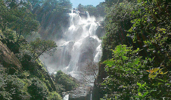 Welcome to Udzungwa National Park 