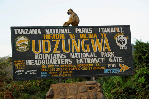 Udzungwa National Park 