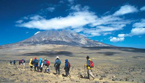 Lemosho Route 7 Day(s) Kilimanjaro Climbing Experience Zanzibar Tours & Safaris Ltd