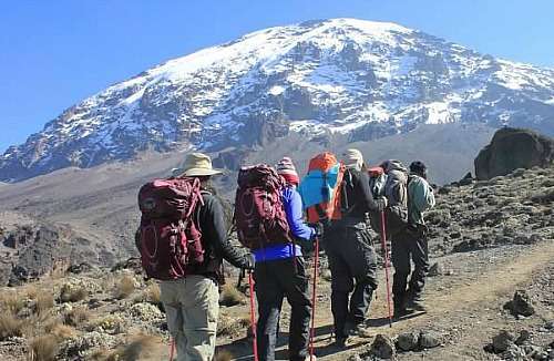 Rongai Route 6 Day(s) Kilimanjaro Climbing Experience Zanzibar Tours & Safaris Ltd